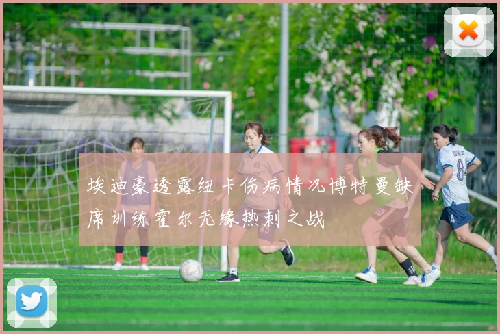 埃迪豪透露纽卡伤病情况博特曼缺席训练霍尔无缘热刺之战