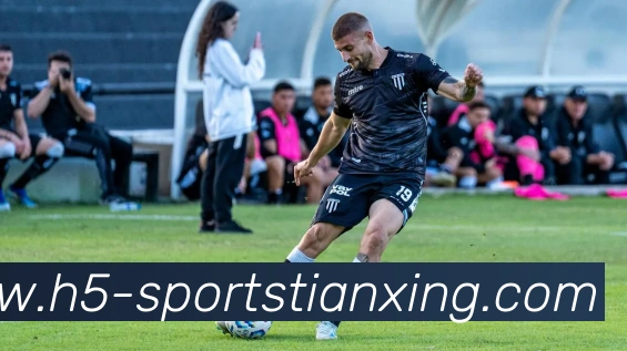 App Interface Preview