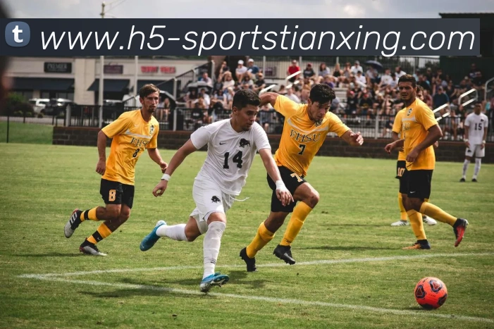 天行体育APP 封面图